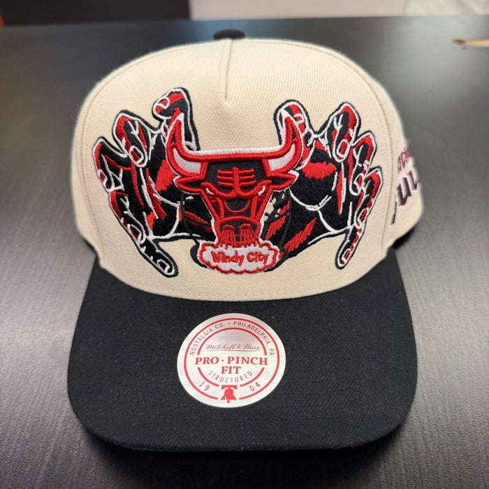 Chicago Bulls Windy City Mitchell & Ness - Clothing Accessory - Jawns on Fire Sneakers & Shoes