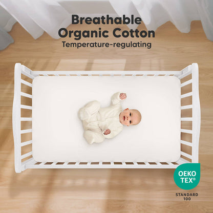 2-pack Organic Cotton Fitted Crib Sheet - Daisies