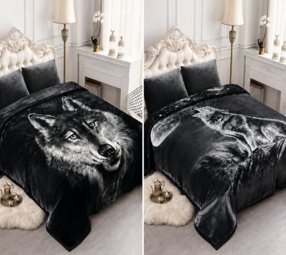 2 Ply Korea Queen Blanket