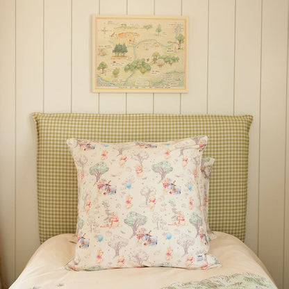 Disney Hundred Acre Wood Euro Sham