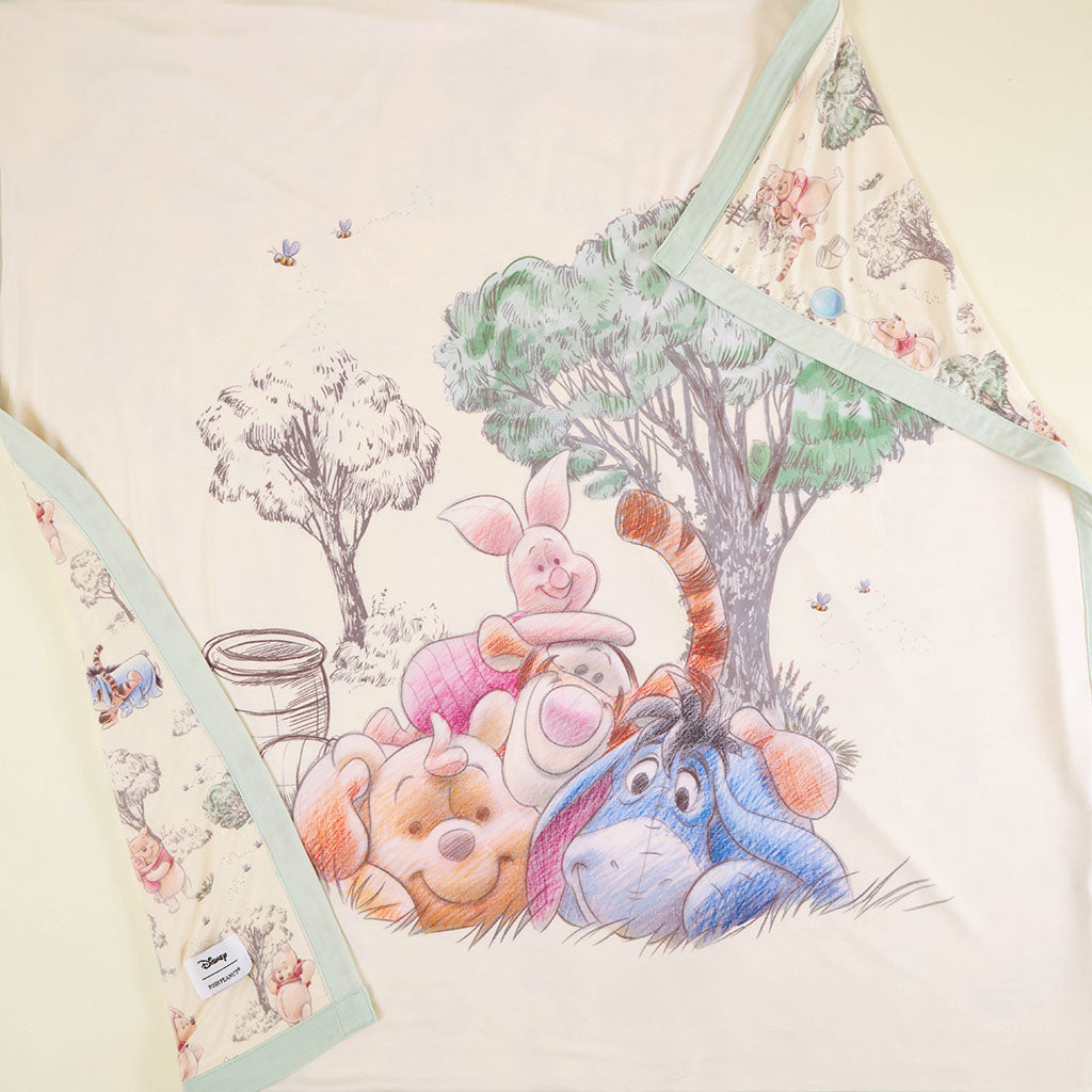 Disney Hundred Acre Wood & Pooh & Friends Luxe Patoo® Blanket