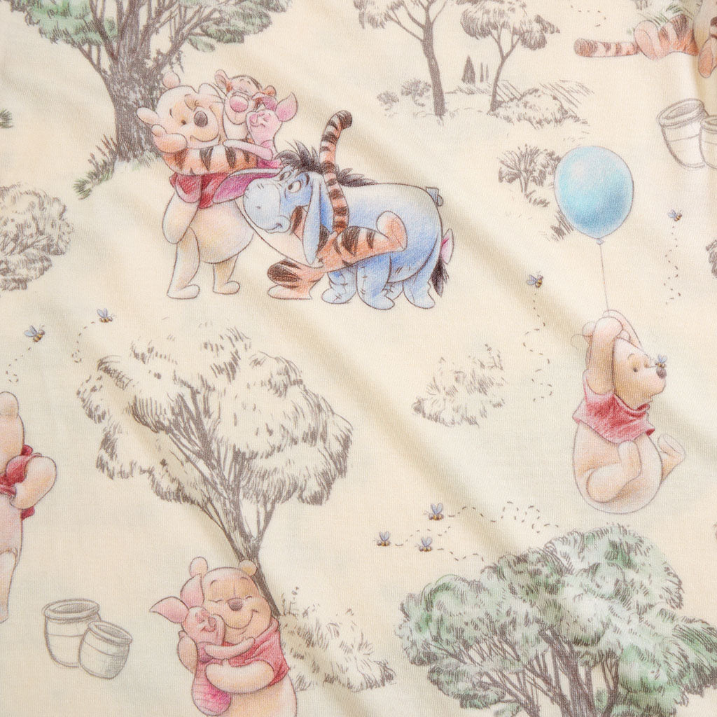 Disney Hundred Acre Wood Euro Sham