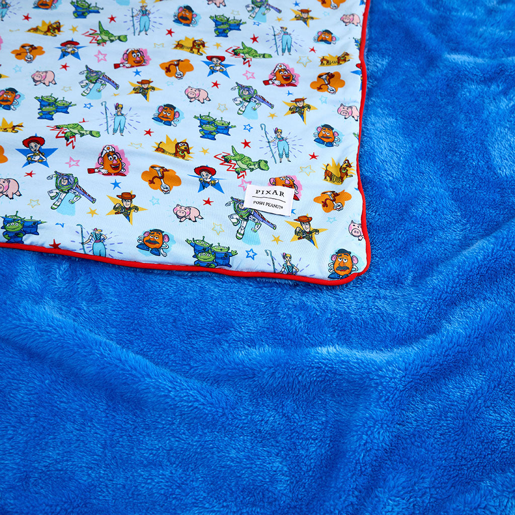 Disney Toy Story Time Luxe Plush Patoo® Blanket