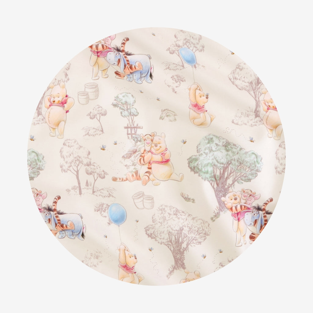 Disney Hundred Acre Wood Euro Sham