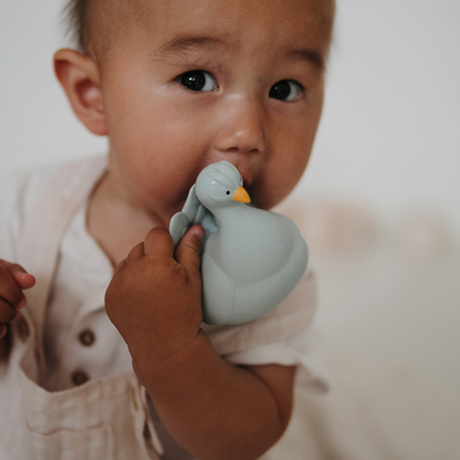 Bath Toy - Peacock - Light Blue - Natural Rubber