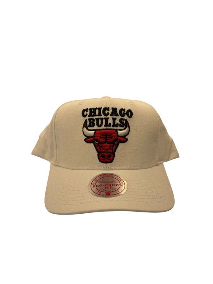 Chicago Bulls Logo Snapback Hat - Clothing Accessory - Jawns on Fire Sneakers & Shoes