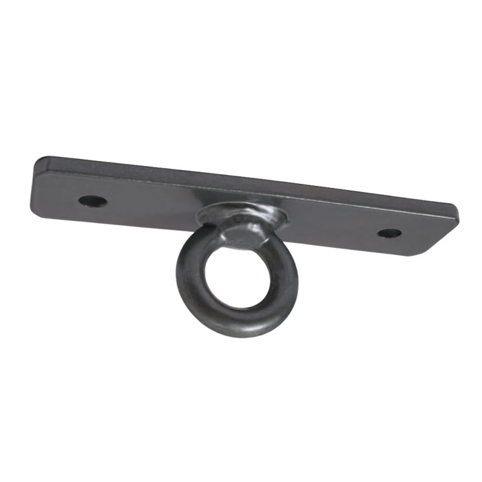 ProBoxing® Heavy Duty Ceiling Mount