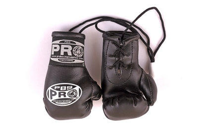 ProBoxing® Mini Gloves