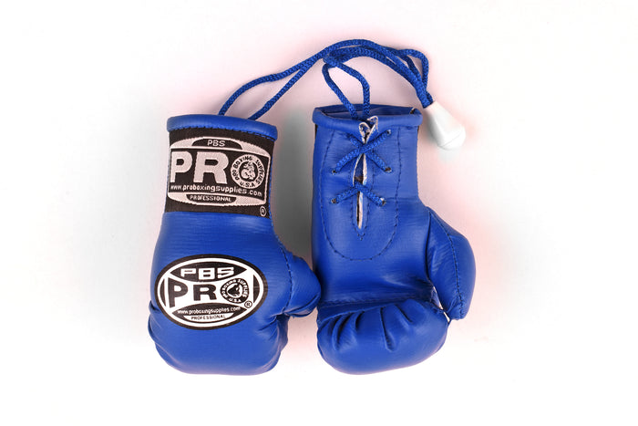 ProBoxing® Mini Gloves