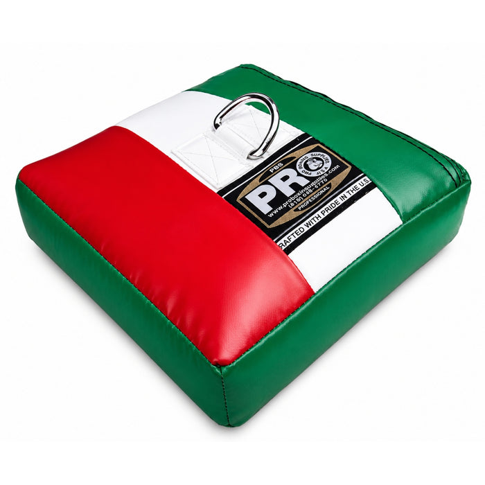 ProBoxing® Sand Bag (60 LBS) with D-Ring - (FILLED)