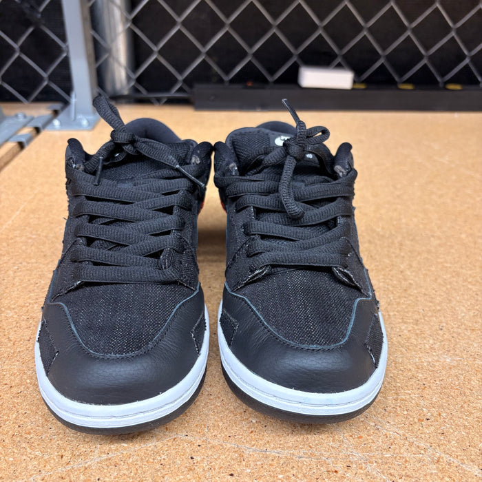 Nike SB Dunk Low Wasted Youth Men 6.5 Used