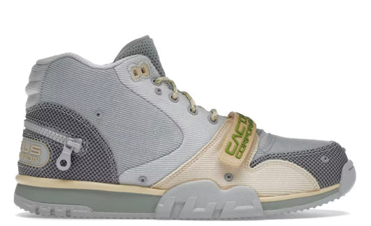 Nike Travis Cactus Corporation Men 9.5 New - Sneakers - Jawns on Fire Sneakers & Shoes